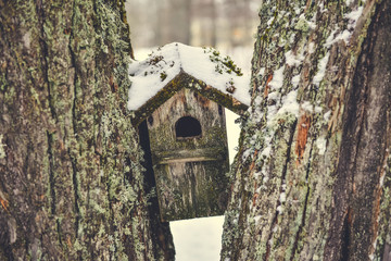 Little bird house.
