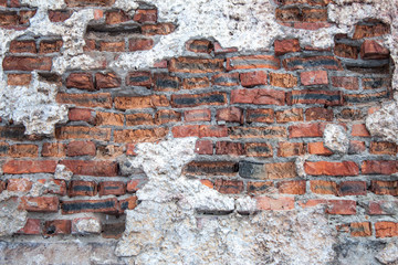 Red brick wall background textured