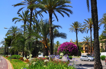 mallorca