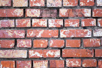 Red brick wall background textured