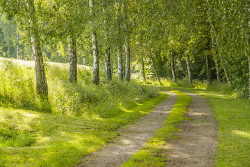 Fototapeta premium idyllic field path