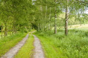 Fototapeta na wymiar idyllic field path