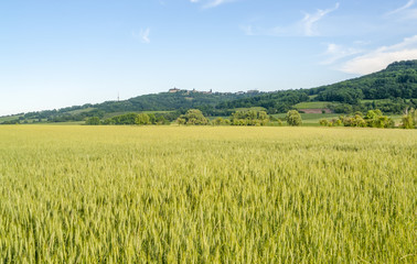 Fototapeta premium spring time around Waldenburg