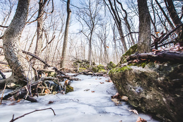 Fototapeta na wymiar frozen landscape