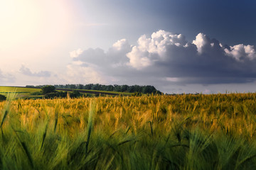 Obraz premium expanse