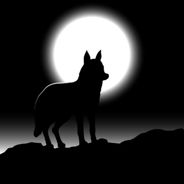 wolf silhouette at night in moonlight, minimal black and white vector