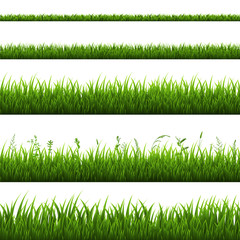 Grass Border Isolated