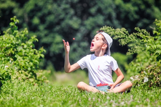 boy throws a raspberry into his mouth. Portrait of a  happy kid throwing berry in the air. Copy space for your text