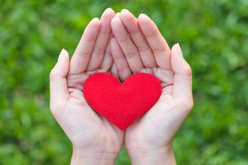 Fototapeta na wymiar red heart in woman hand on green grass background