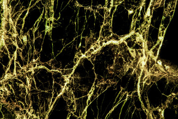 Gold marble natural texture for dark background, abstract natural marble black. Gold concept.