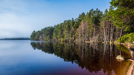 Loch Garten reflections