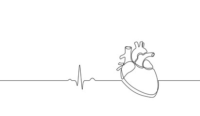 Single continuous line art anatomical human heart silhouette. Healthy medicine concept design one sketch outline drawing vector illustration
