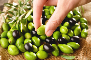 Genuine Italian olives organic oil cold pressed  falls. concept of nature and healthy food, healthy and natural. fresh olives and Tuscan Italian oil