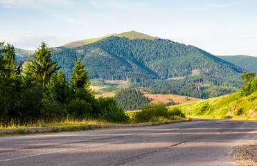 road in to the mountains through forest. serpentine near the Volovets town, TransCarpathia, Ukraine