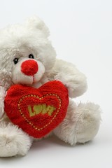 White Teddy bear holding red heart with text LOVE, isolated on white background, Valentine's Day