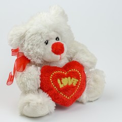 White Teddy bear holding red heart with text LOVE, isolated on white background, Valentine's Day