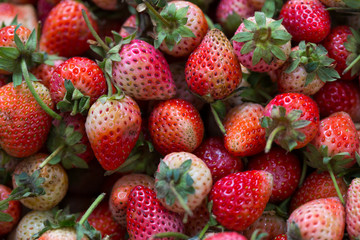 Strawberry red texture group background.