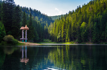 beautiful scenery of Synevyr lake. spruce forest in evening light reflects in the rippled water....