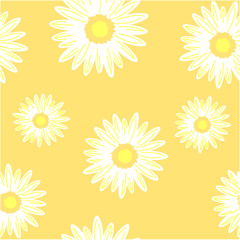 Seamless background with daisy flowers. Vector graphic illustration.