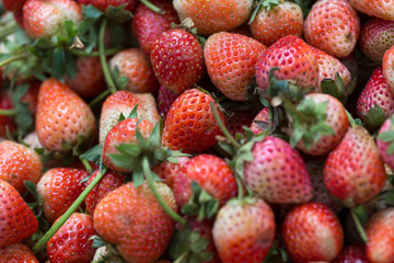 Strawberry red texture group background.