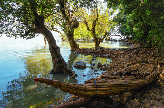 The traditional Ethiopian papyrus boat on the coast of the lake Tana, the largest lake in Ethiopia. Amhara Region, the north-western Ethiopian Highlands