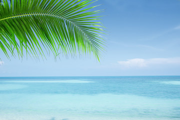 Fototapeta na wymiar View of nice tropical beach with some palms