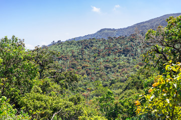 The Sri Lanka dry-zone dry evergreen forests are a tropical dry broadleaf forest ecoregion of the island of Sri Lanka. Situated mostly in the Central Province