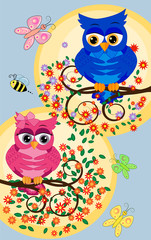 Two owls on blossoming tree branches: a pink girl and a blue boy. The concept of love and sympathy