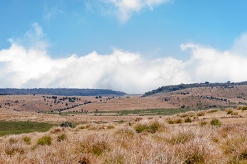 Horton Plains National Park is a protected area in the central highlands of Sri Lanka and is covered by montane grassland and cloud forest
