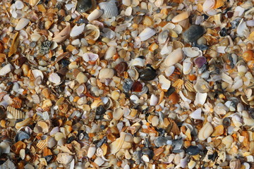 Mickler's Landing, Ponte Vedra Beach, Florida 03