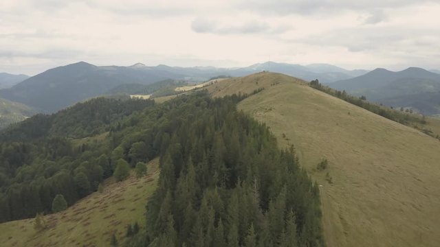 Aerial top view other summer carpathian mountains near by Dzembronya village, Ukraine