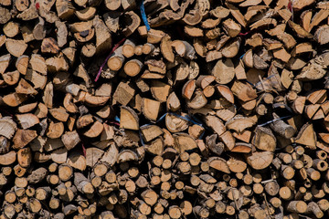 old tree stumps background