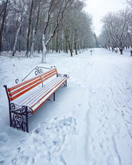 Park bench and trees covered by heavy snow