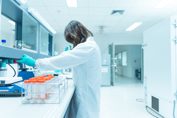 Asian scientist working in the lab,Thailand people