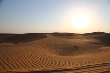 Fototapeta na wymiar Desert dans une réserve naturelle Dubai