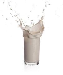 Milk splashing from glass isolated on a white background