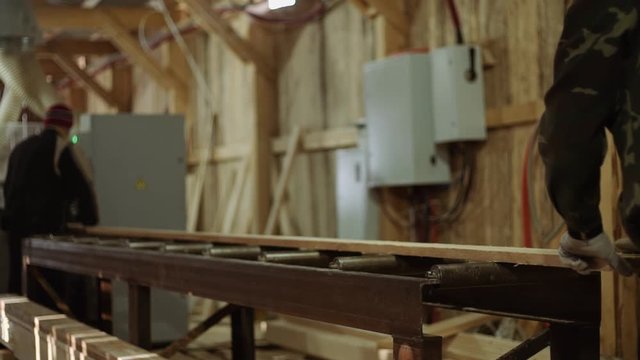 Caucasian carpenters puts wood board on refiner machine at sawmill, floor covered in sawdust