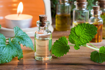 A bottle of melissa essential oil with fresh melissa leaves