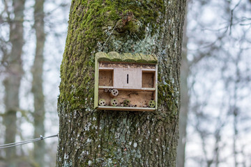 Insektenhotel Bienenhotel