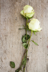 Fototapeta premium roses on wooden table