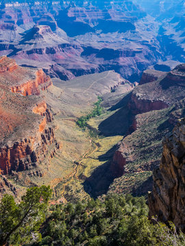 Nature of Grand Canyon National Park, Arizona, USA