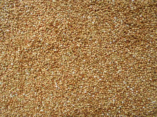 A large amount of buckwheat groats