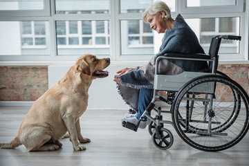Happy mature female sitting in invalid chair indoors. She is looking at the dog while reaching out...