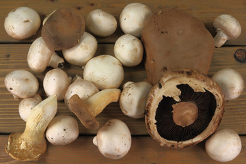 Assorted mushrooms