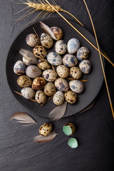 Quail eggs on dark background. Rustic style