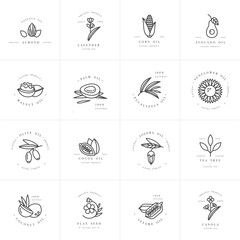 Vector set design templates and emblems - healthy and cosmetics oils. Different natural, organic oils. - obrazy, fototapety, plakaty