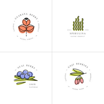 Vector set design templates and emblems - healthy eco food - camu camu, spirulina, goji berry and acai berry. Detox and weightloss supplements.