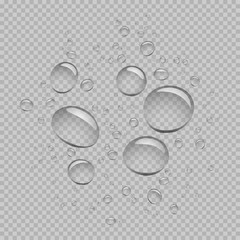 water bubbles template transparent