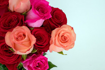 Bouquet of red and pink roses at left on white