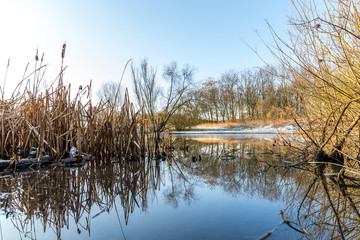 Gefrorener See in einer Winterlandschaft in Rheinhessen